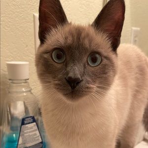 Meet your Posher, May